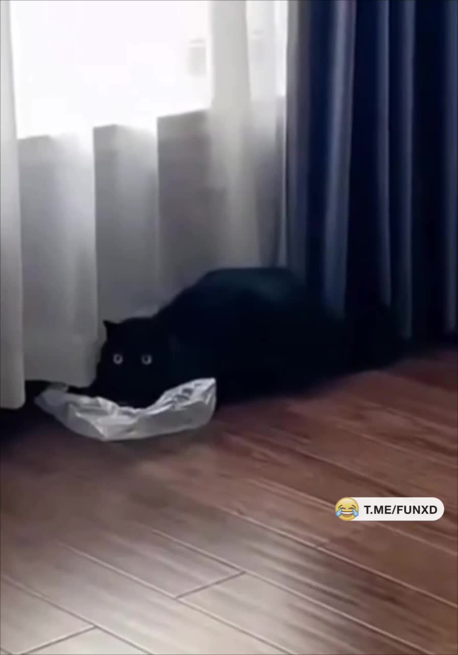 Ты быканул или мне показалось?😅