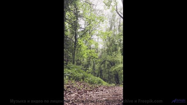 Эти кадры под этот саунд лечат без лекарств - Sun-Inside -- Ketsa -- The Lost Files