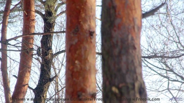Это видео создано для жителей 3023 года - но доступно вам сейчас! - DIOS ES UN CONCEPTO AMBIGUO (fea