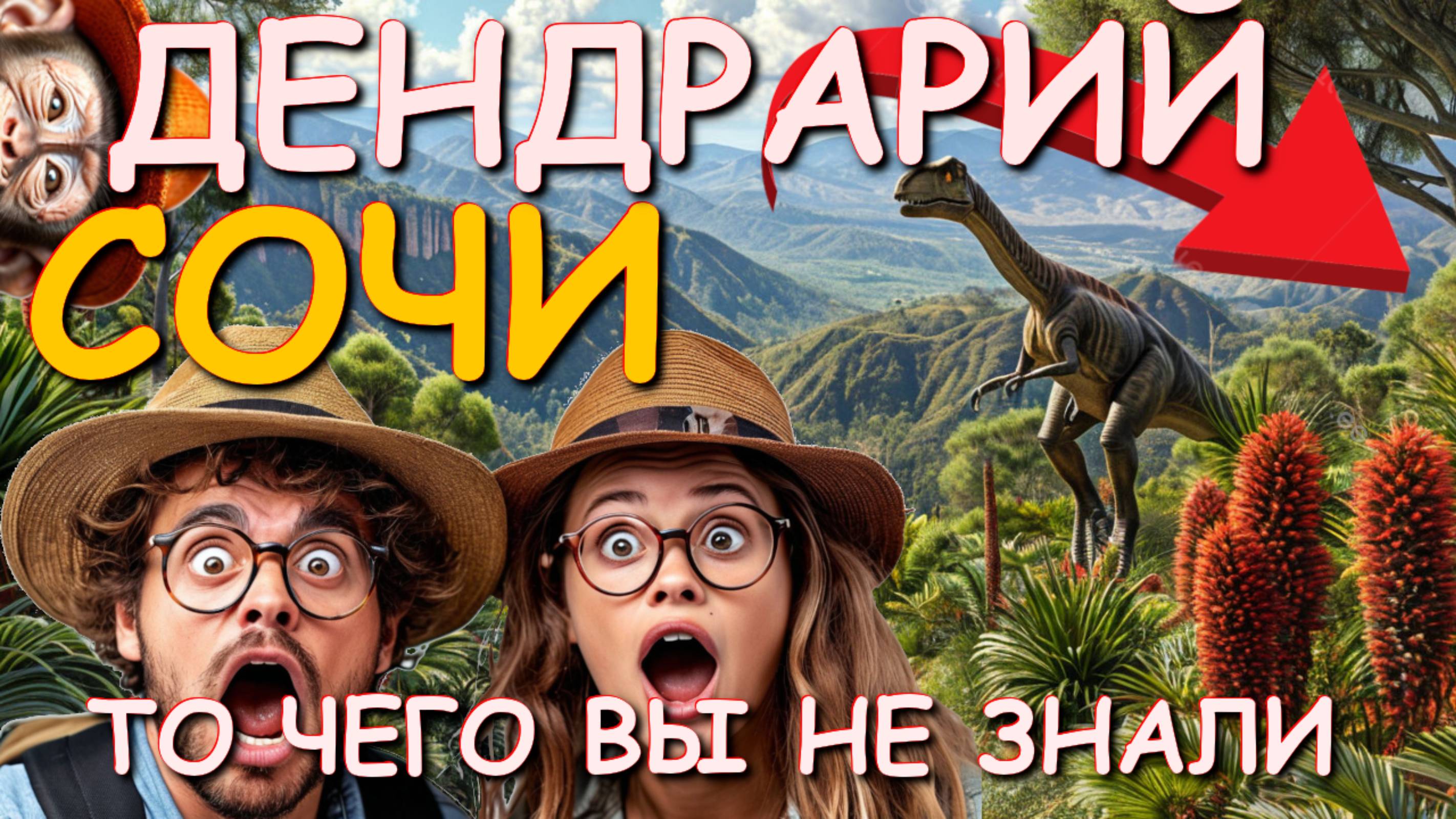 Дендрарий Сочи, Сочи сегодня, Сочи куда пойти, парк дендрарий, Сочи что посмотреть, Сочи обзор🌴🌴🌴