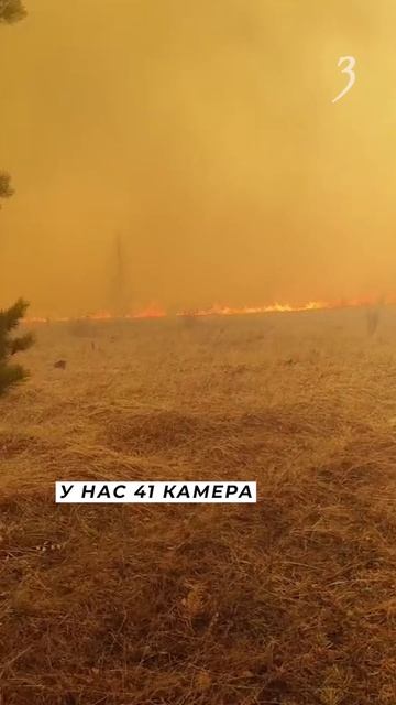 Умышленные поджоги постоянно фиксируют в Забайкалье