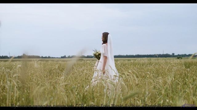 Музыка и природа вместе рвут душу на части - Lost Time -- Satellite State -- Collective