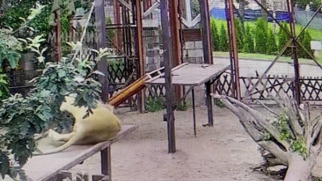 Под музыку Вивальди (Оркестр Поля Мориа)