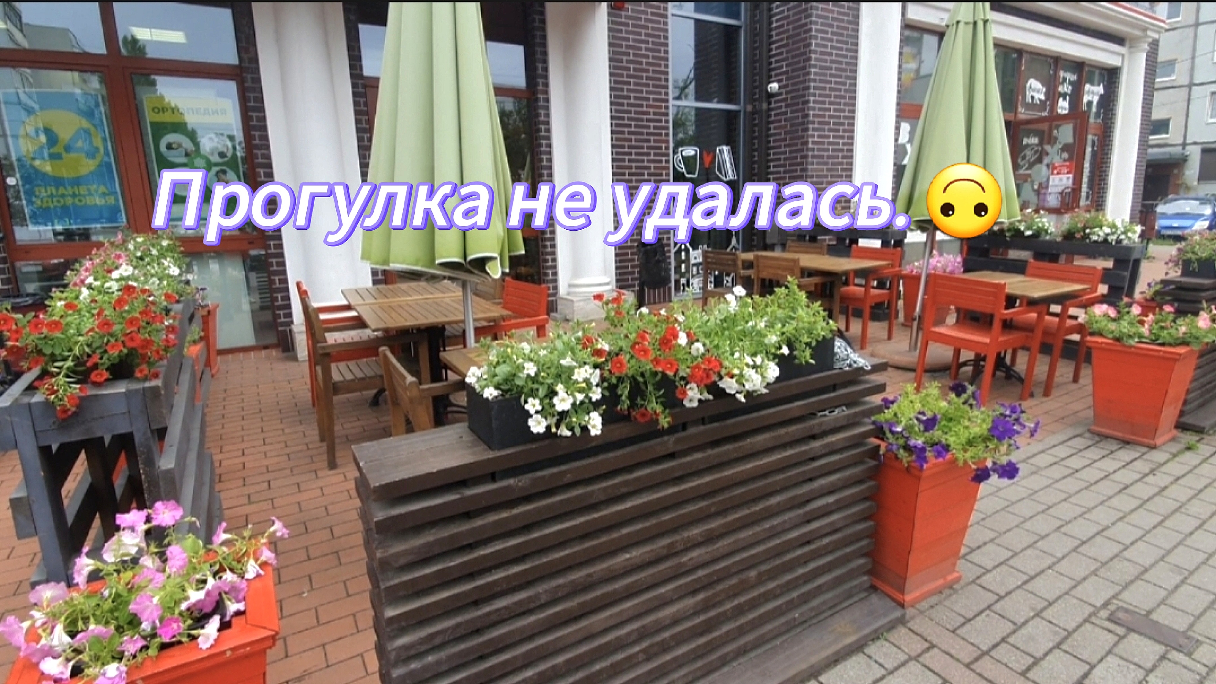 Прогулка не удалась. 🙃
