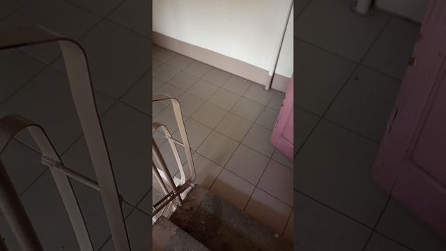 1000001345.mp4