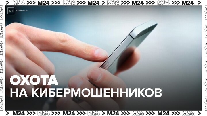 На кибермошенников можно будет пожаловаться через "Госуслуги" - Москва 24
