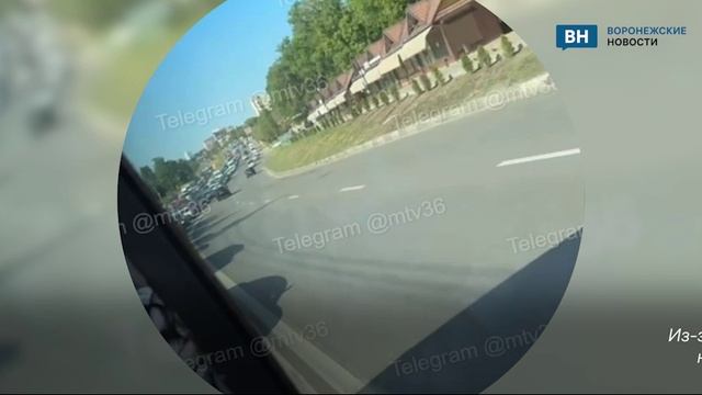 Воронежцы показали последствия падения дерева на улице Ломоносова