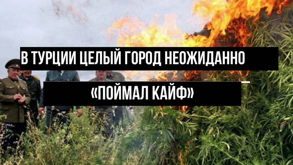 В Турции целый город неожиданно «поймал кайф»
