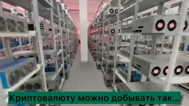 Выбор за тобой...
