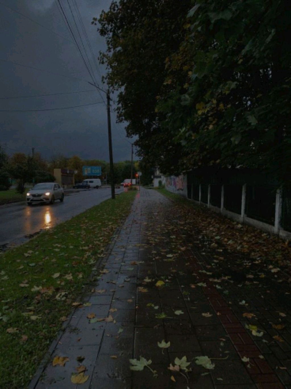 жизнь