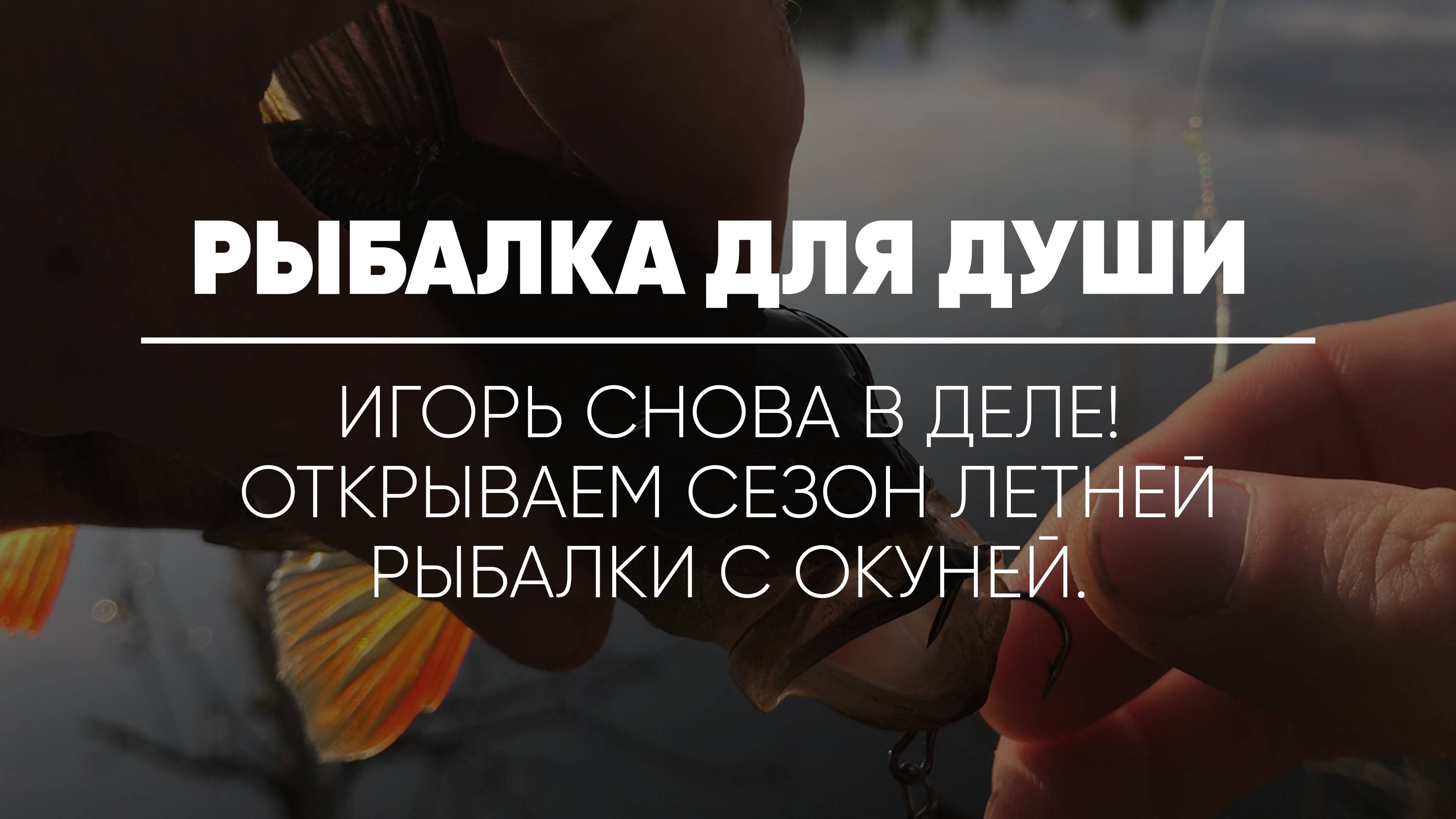 РЫБАЛКА ДЛЯ ДУШИ // Игорь снова в деле! Открываем сезон летней рыбалки с окуней.