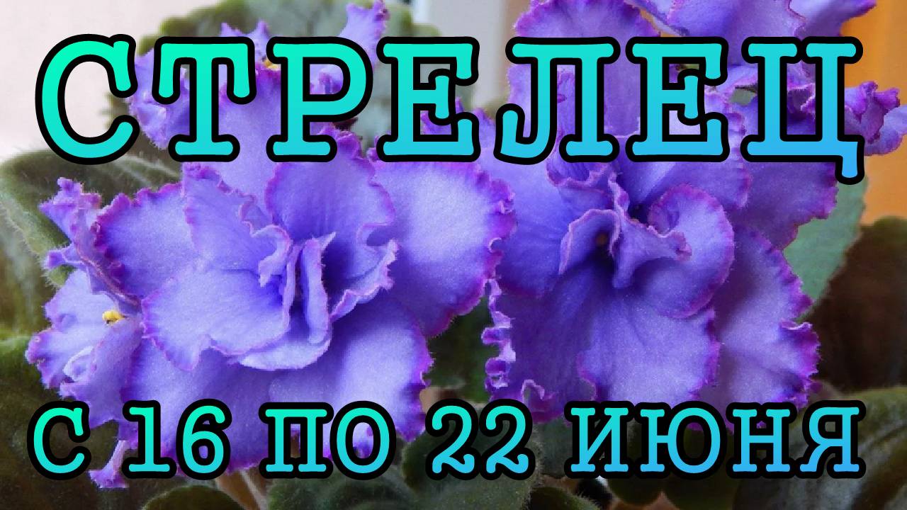 СТРЕЛЕЦ таро прогноз на неделю с 16 по 22 ИЮНЯ 2025 года.