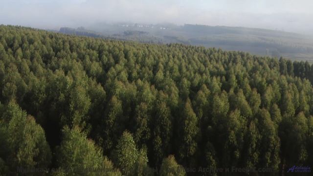 Музыка заставляет смотреть на природу по-другому - Vuelve a la Luz -- Silva de Alegria -- Primavera