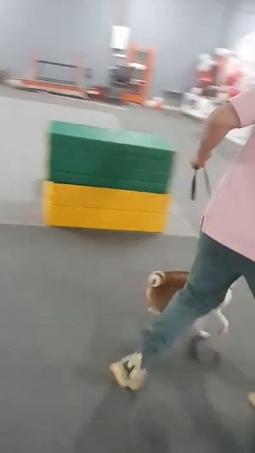 VID-20250123-WA0026.mp4