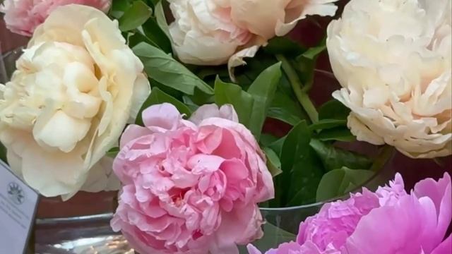 🌺В Москве стартовала выставка "Пионы России"🌺