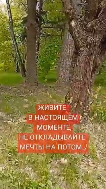 1000216521.mp4