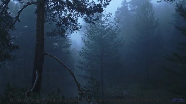Музыка заставит сердце биться сильнее на природе - Moonshine -- Ketsa -- The New World
