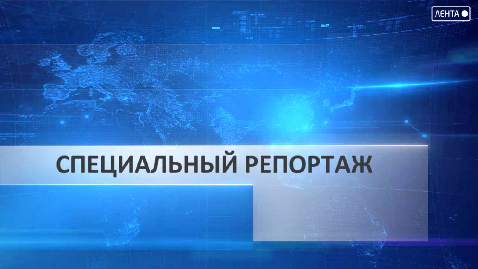 Специальный репортаж. Расследование работы службы отлова «Аристократ»