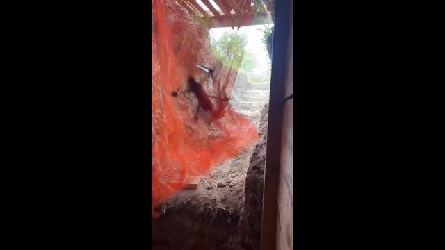 Сетка Остановила Дрон