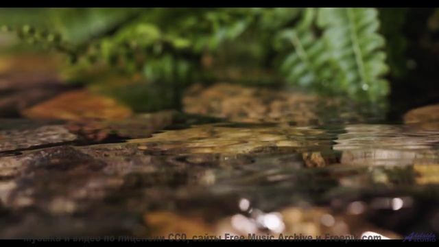 Песня, под которую хочется смотреть в небо - Boats -- Ketsa -- Through to Fall