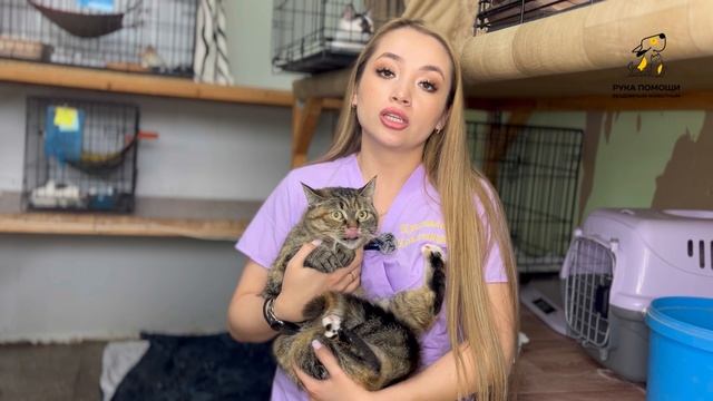 И снова здравствуйте! Поддержать⬇️