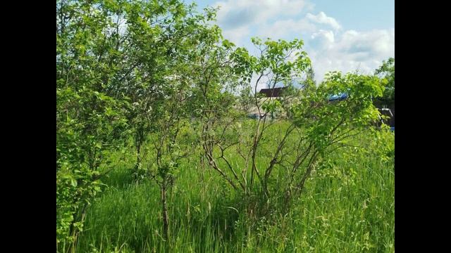 Кусинское сельское поселение, садоводческое некоммерческое товарищество Ручеёк, 9-я улица