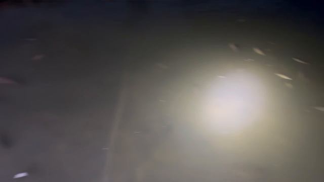 Продолжает гибнуть рыба в прудах  и реке Елшанка поселка «Чистые пруды 2» села Новая Беденьга Ульяно