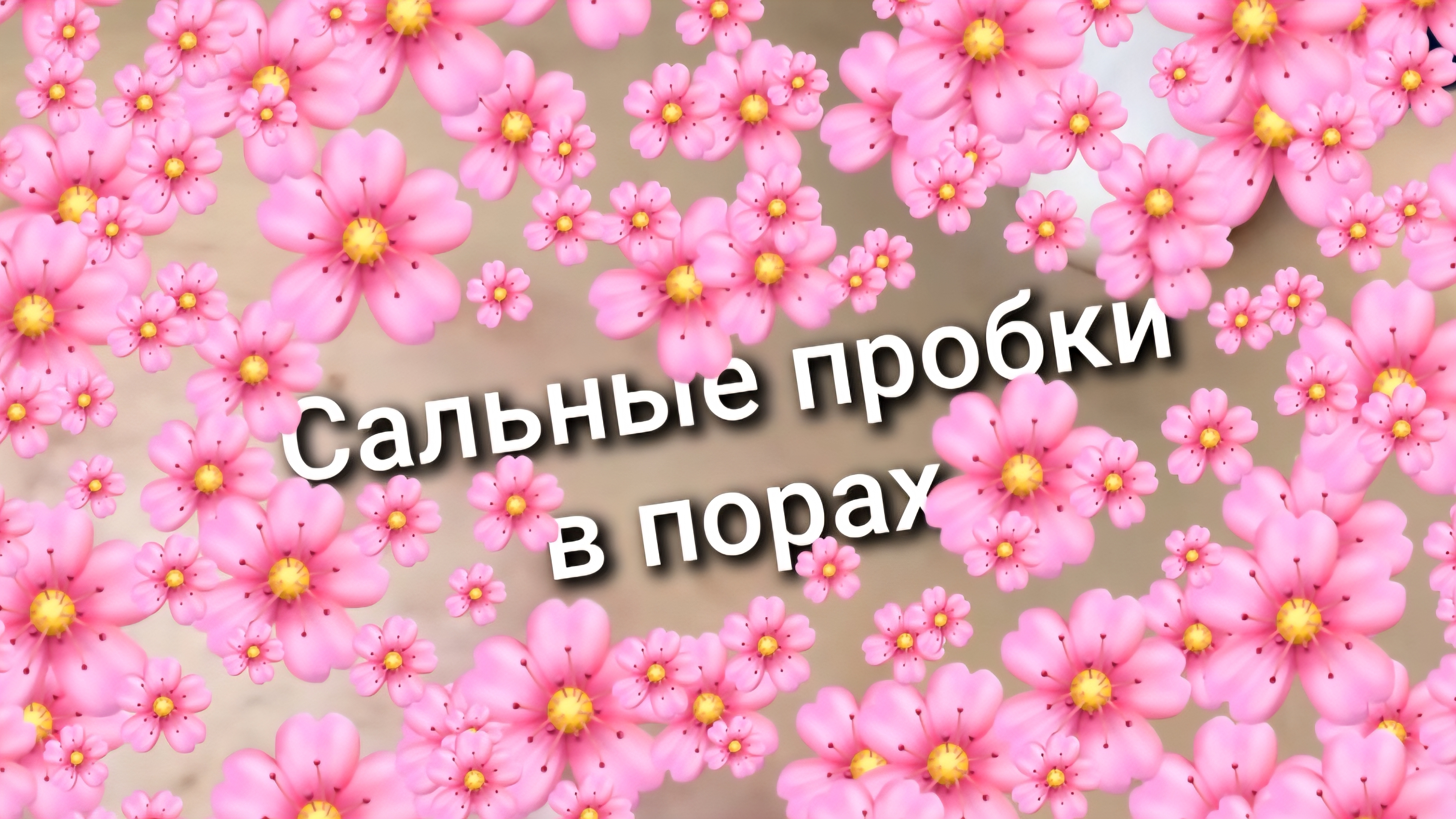 Сальные пробки в порах