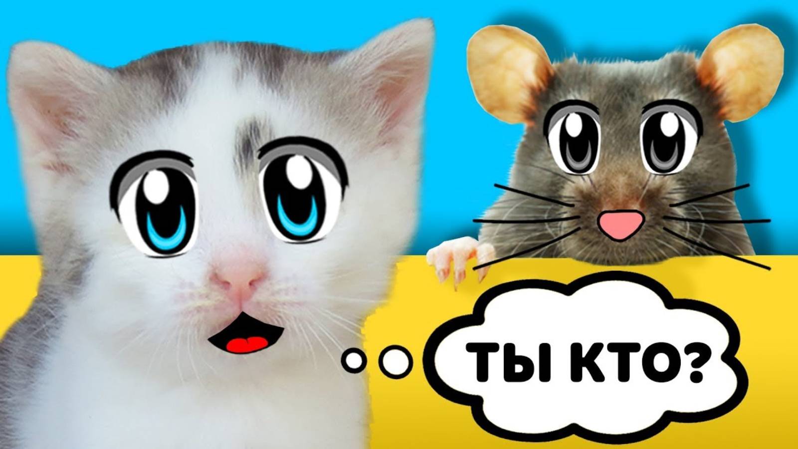 ДАЙ ИМЯ МЫШКЕ! КОТ МАЛЫШ и КОШЕЧКА МУРКА и НОВЫЙ ПИТОМЕЦ А ну-ка Давай-ка ! СМЕШНАЯ РЕАКЦИЯ ПУПСИ!