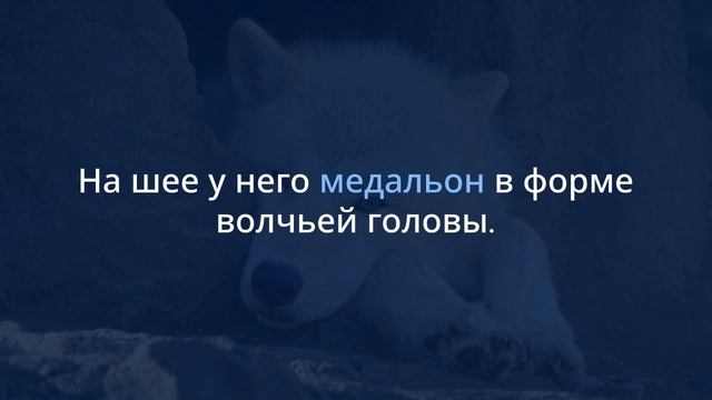 Белый волк
