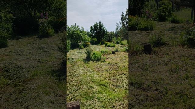 1000048477.mp4