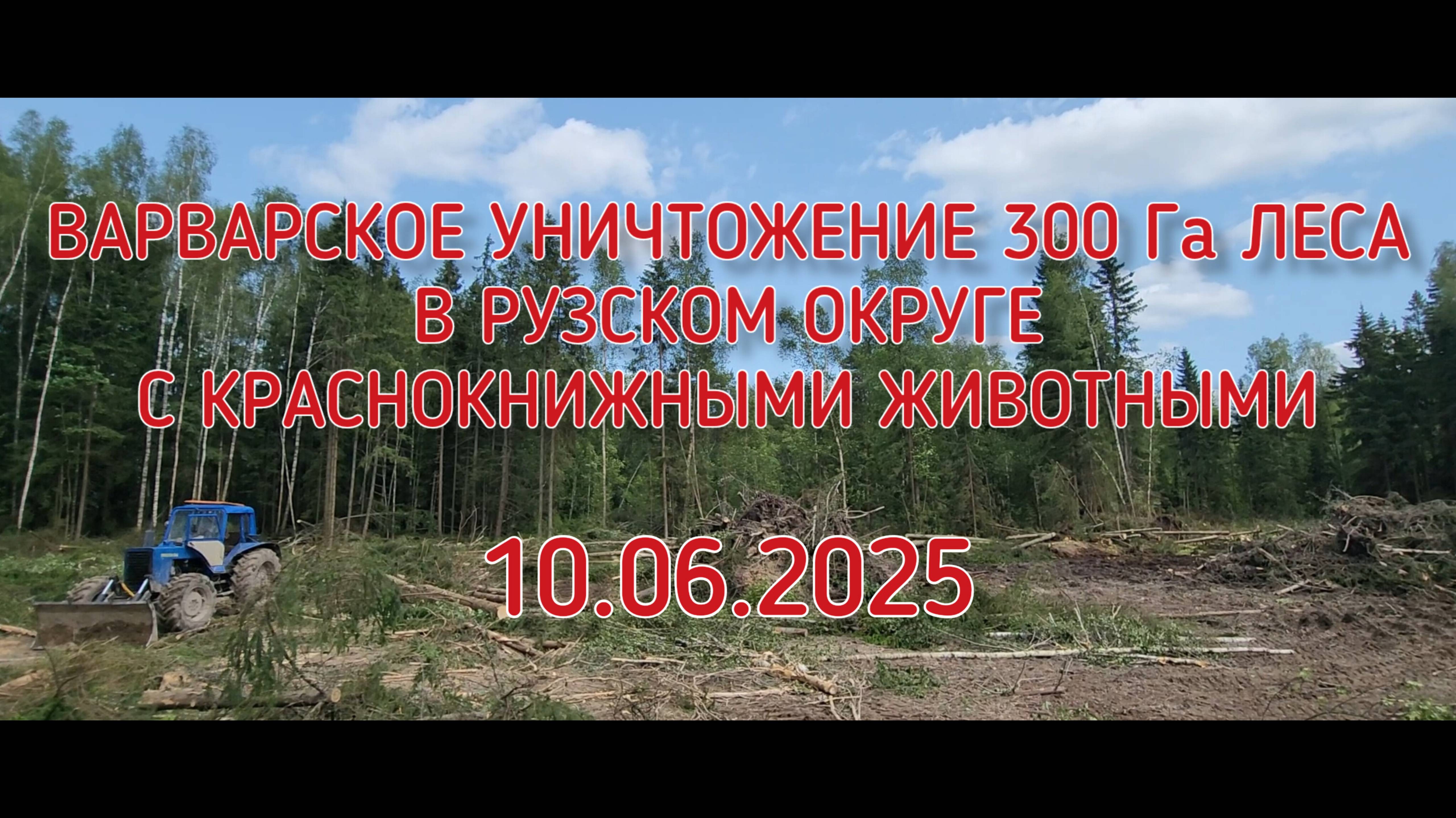 Дети за лес! 10.06.2025 уничтожение леса в 300 гектар с животными в реальном времени в Помосковье