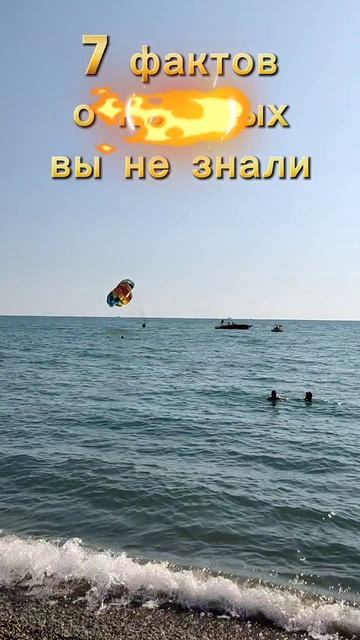 факты о которых вы не знали #мотивациянауспех #море #саморазвитие #цель #жизнь #самопознание #яхты