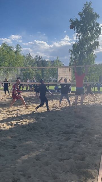 #пляжныйволейбол #парковыйволейбол #волейбол #volleyball #teammedvedev