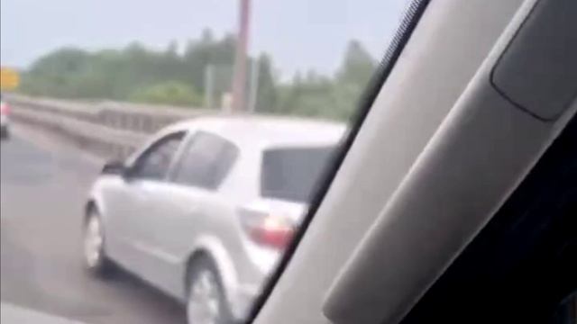 За рулём на трассе под Рязанью заметили маленькую девочку