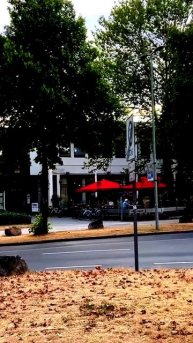 В объективе — настоящее чудо