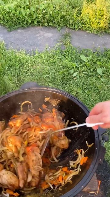 ДЕРЕВЕНСКАЯ ШУРПА ИЗ КУРИЦЫ