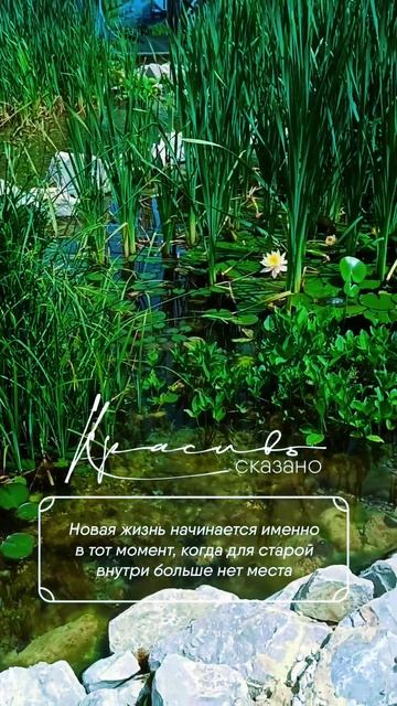 lv_0_20250611053956.mp4