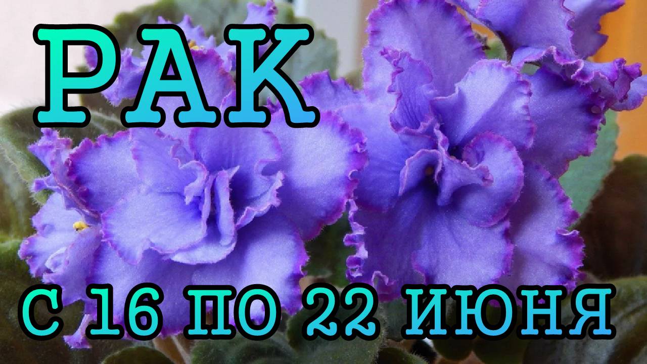 РАК таро прогноз на неделю с 16 по 22 ИЮНЯ 2025 года.