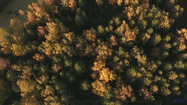 Это видео МЕНЯЕТ сознание! - Paper Mate -- HoliznaCC0 -- Washed Up