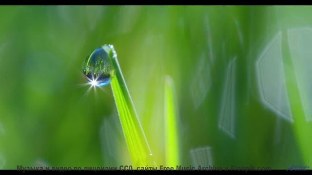 Эта мелодия программирует ваше подсознание - осторожно! - Ripples -- Ketsa -- Light Rising