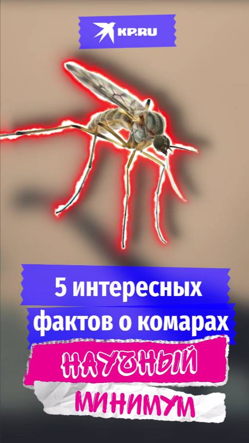 5 интересных фактов о комарах