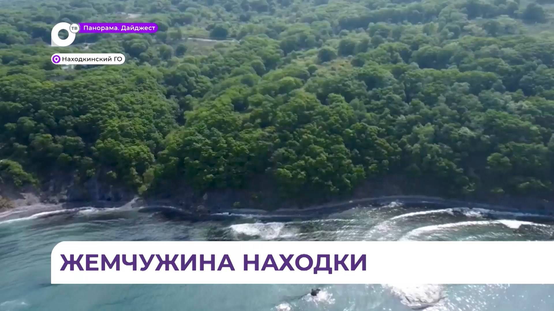 Будущей визитной карточкой Находки станет «Тропа осьминога»