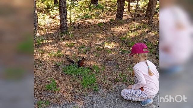 белочка пришла.mp4