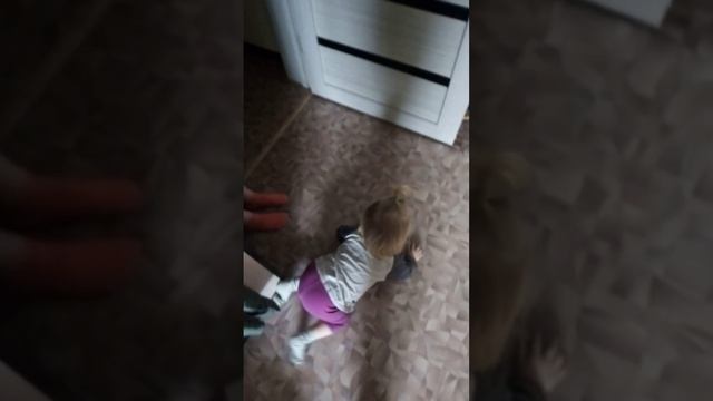 Лежачая забастовка