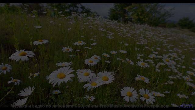 Песня, под которую хочется уйти в лес - my piano from benares -- Jean Toba -- a land where the poets