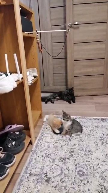 1000131690.mp4