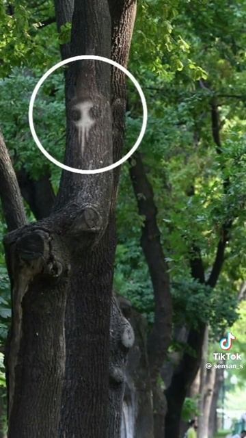 что ты такое