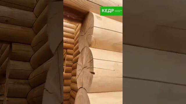 🎬 Загляните за кулисы строительства вместе с нами!