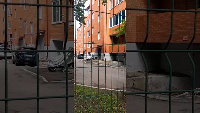 Система продвижени и личное пространство в нем и л